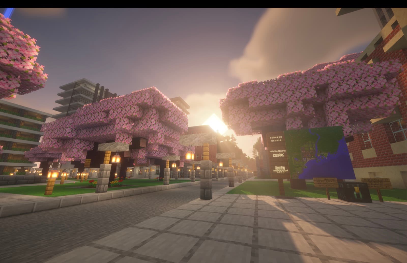 Augusta — the cherry avenue, running straight into the sunset.